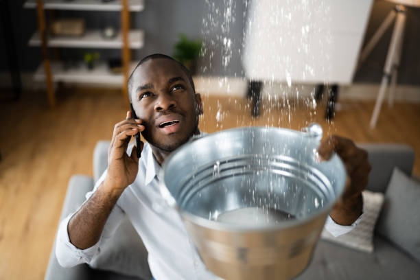 Best Basement water damage restoration  in Normandy Park, WA