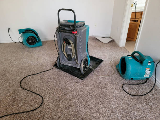 Best Sewage cleanup and water damage restoration  in Normandy Park, WA