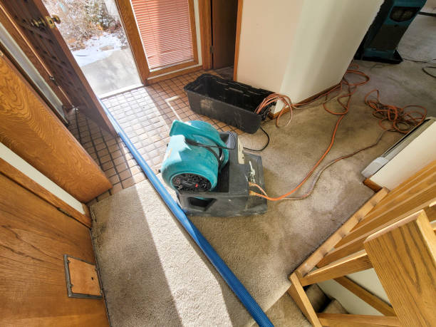 Reliable WA Water damage restoration Solutions