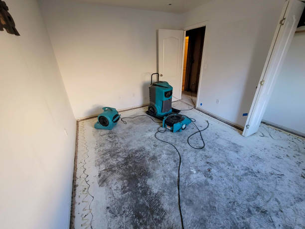 Best Water damage restoration insurance claims  in Normandy Park, WA