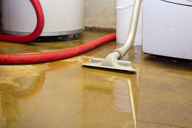 Best Water damage repair service  in Normandy Park, WA