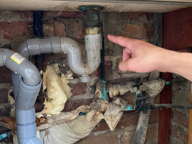 Best Mold removal after water damage  in Normandy Park, WA