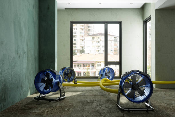 Best Commercial water damage restoration  in Normandy Park, WA